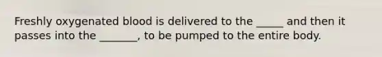 Freshly oxygenated blood is delivered to the _____ and then it passes into the _______, to be pumped to the entire body.