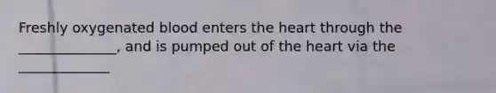 Freshly oxygenated blood enters the heart through the ______________, and is pumped out of the heart via the _____________