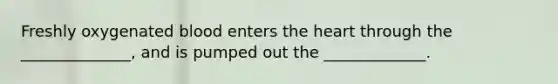 Freshly oxygenated blood enters the heart through the ______________, and is pumped out the _____________.