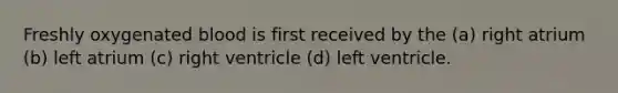 Freshly oxygenated blood is first received by the (a) right atrium (b) left atrium (c) right ventricle (d) left ventricle.