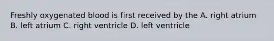 Freshly oxygenated blood is first received by the A. right atrium B. left atrium C. right ventricle D. left ventricle