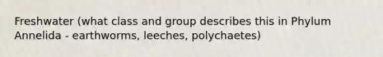 Freshwater (what class and group describes this in Phylum Annelida - earthworms, leeches, polychaetes)