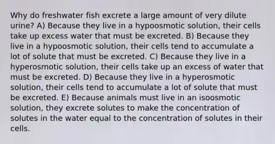 Why do freshwater fish excrete a large amount of very dilute urine? A) Because they live in a hypoosmotic solution, their cells take up excess water that must be excreted. B) Because they live in a hypoosmotic solution, their cells tend to accumulate a lot of solute that must be excreted. C) Because they live in a hyperosmotic solution, their cells take up an excess of water that must be excreted. D) Because they live in a hyperosmotic solution, their cells tend to accumulate a lot of solute that must be excreted. E) Because animals must live in an isoosmotic solution, they excrete solutes to make the concentration of solutes in the water equal to the concentration of solutes in their cells.