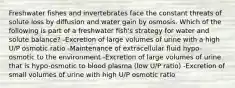 Freshwater fishes and invertebrates face the constant threats of solute loss by diffusion and water gain by osmosis. Which of the following is part of a freshwater fish's strategy for water and solute balance? -Excretion of large volumes of urine with a high U/P osmotic ratio -Maintenance of extracellular fluid hypo-osmotic to the environment -Excretion of large volumes of urine that is hypo-osmotic to blood plasma (low U/P ratio) -Excretion of small volumes of urine with high U/P osmotic ratio