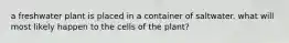 a freshwater plant is placed in a container of saltwater. what will most likely happen to the cells of the plant?