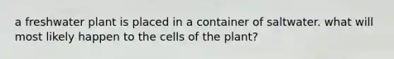 a freshwater plant is placed in a container of saltwater. what will most likely happen to the cells of the plant?