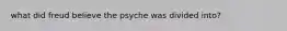 what did freud believe the psyche was divided into?