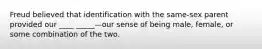 Freud believed that identification with the same-sex parent provided our ____ _____—our sense of being male, female, or some combination of the two.
