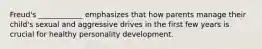 Freud's ____________ emphasizes that how parents manage their child's sexual and aggressive drives in the first few years is crucial for healthy personality development.