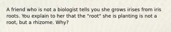 A friend who is not a biologist tells you she grows irises from iris roots. You explain to her that the "root" she is planting is not a root, but a rhizome. Why?