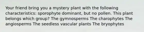 Your friend bring you a mystery plant with the following characteristics: sporophyte dominant, but no pollen. This plant belongs which group? The gymnosperms The charophytes The angiosperms The seedless vascular plants The bryophytes