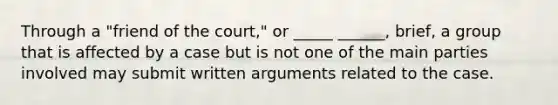 Through a "friend of the court," or _____ ______, brief, a group that is affected by a case but is not one of the main parties involved may submit written arguments related to the case.