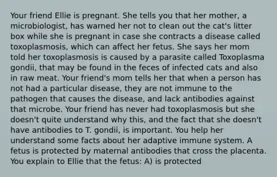 Your friend Ellie is pregnant. She tells you that her mother, a microbiologist, has warned her not to clean out the cat's litter box while she is pregnant in case she contracts a disease called toxoplasmosis, which can affect her fetus. She says her mom told her toxoplasmosis is caused by a parasite called Toxoplasma gondii, that may be found in the feces of infected cats and also in raw meat. Your friend's mom tells her that when a person has not had a particular disease, they are not immune to the pathogen that causes the disease, and lack antibodies against that microbe. Your friend has never had toxoplasmosis but she doesn't quite understand why this, and the fact that she doesn't have antibodies to T. gondii, is important. You help her understand some facts about her adaptive immune system. A fetus is protected by maternal antibodies that cross the placenta. You explain to Ellie that the fetus: A) is protected