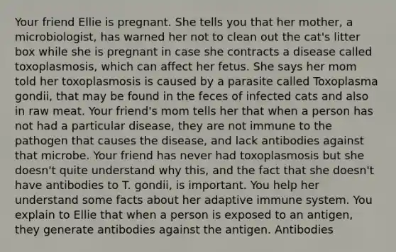 Your friend Ellie is pregnant. She tells you that her mother, a microbiologist, has warned her not to clean out the cat's litter box while she is pregnant in case she contracts a disease called toxoplasmosis, which can affect her fetus. She says her mom told her toxoplasmosis is caused by a parasite called Toxoplasma gondii, that may be found in the feces of infected cats and also in raw meat. Your friend's mom tells her that when a person has not had a particular disease, they are not immune to the pathogen that causes the disease, and lack antibodies against that microbe. Your friend has never had toxoplasmosis but she doesn't quite understand why this, and the fact that she doesn't have antibodies to T. gondii, is important. You help her understand some facts about her adaptive immune system. You explain to Ellie that when a person is exposed to an antigen, they generate antibodies against the antigen. Antibodies