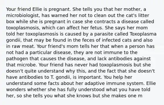 Your friend Ellie is pregnant. She tells you that her mother, a microbiologist, has warned her not to clean out the cat's litter box while she is pregnant in case she contracts a disease called toxoplasmosis, which can affect her fetus. She says her mom told her toxoplasmosis is caused by a parasite called Toxoplasma gondii, that may be found in the feces of infected cats and also in raw meat. Your friend's mom tells her that when a person has not had a particular disease, they are not immune to the pathogen that causes the disease, and lack antibodies against that microbe. Your friend has never had toxoplasmosis but she doesn't quite understand why this, and the fact that she doesn't have antibodies to T. gondii, is important. You help her understand some facts about her adaptive immune system. Ellie wonders whether she has fully understood what you have told her, so she tells you what she knows but she makes one m