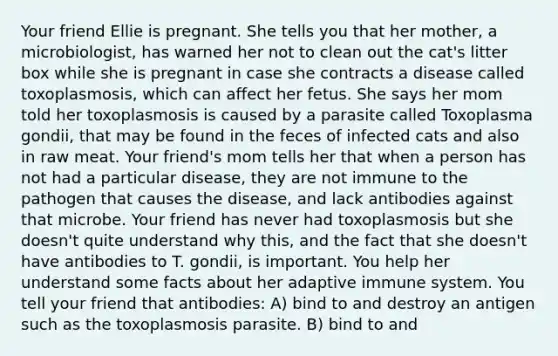 Your friend Ellie is pregnant. She tells you that her mother, a microbiologist, has warned her not to clean out the cat's litter box while she is pregnant in case she contracts a disease called toxoplasmosis, which can affect her fetus. She says her mom told her toxoplasmosis is caused by a parasite called Toxoplasma gondii, that may be found in the feces of infected cats and also in raw meat. Your friend's mom tells her that when a person has not had a particular disease, they are not immune to the pathogen that causes the disease, and lack antibodies against that microbe. Your friend has never had toxoplasmosis but she doesn't quite understand why this, and the fact that she doesn't have antibodies to T. gondii, is important. You help her understand some facts about her adaptive immune system. You tell your friend that antibodies: A) bind to and destroy an antigen such as the toxoplasmosis parasite. B) bind to and