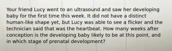 Your friend Lucy went to an ultrasound and saw her developing baby for the first time this week. It did not have a distinct human-like shape yet, but Lucy was able to see a flicker and the technician said that was the heartbeat. How many weeks after conception is the developing baby likely to be at this point, and in which stage of prenatal development?