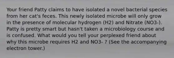 Your friend Patty claims to have isolated a novel bacterial species from her cat's feces. This newly isolated microbe will only grow in the presence of molecular hydrogen (H2) and Nitrate (NO3-). Patty is pretty smart but hasn't taken a microbiology course and is confused. What would you tell your perplexed friend about why this microbe requires H2 and NO3- ? (See the accompanying electron tower.)