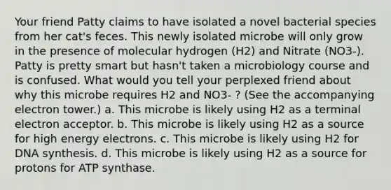 Your friend Patty claims to have isolated a novel bacterial species from her cat's feces. This newly isolated microbe will only grow in the presence of molecular hydrogen (H2) and Nitrate (NO3-). Patty is pretty smart but hasn't taken a microbiology course and is confused. What would you tell your perplexed friend about why this microbe requires H2 and NO3- ? (See the accompanying electron tower.) a. This microbe is likely using H2 as a terminal electron acceptor. b. This microbe is likely using H2 as a source for high energy electrons. c. This microbe is likely using H2 for DNA synthesis. d. This microbe is likely using H2 as a source for protons for ATP synthase.