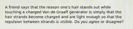 A friend says that the reason one's hair stands out while touching a charged Van de Graaff generator is simply that the hair strands become charged and are light enough so that the repulsion between strands is visible. Do you agree or disagree?