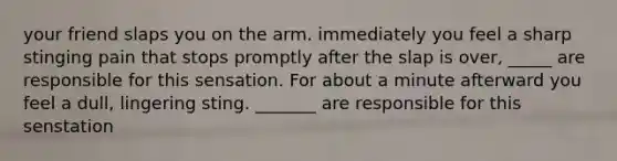 your friend slaps you on the arm. immediately you feel a sharp stinging pain that stops promptly after the slap is over, _____ are responsible for this sensation. For about a minute afterward you feel a dull, lingering sting. _______ are responsible for this senstation