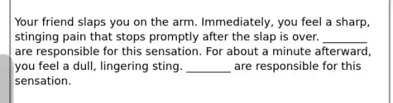 Your friend slaps you on the arm. Immediately, you feel a sharp, stinging pain that stops promptly after the slap is over. ________ are responsible for this sensation. For about a minute afterward, you feel a dull, lingering sting. ________ are responsible for this sensation.