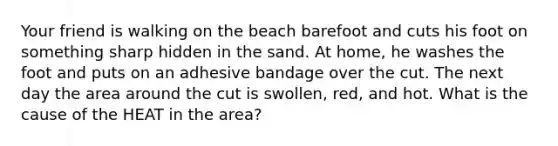 Your friend is walking on the beach barefoot and cuts his foot on something sharp hidden in the sand. At home, he washes the foot and puts on an adhesive bandage over the cut. The next day the area around the cut is swollen, red, and hot. What is the cause of the HEAT in the area?