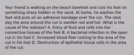 Your friend is walking on the beach barefoot and cuts his foot on something sharp hidden in the sand. At home, he washes the foot and puts on an adhesive bandage over the cut. The next day the area around the cut is swollen red and hot. What is the cause of the redness? A. Entry of fluid and cells into the connective tissues of the foot B. A bacterial infection in the open cut in his foot C. Increased blood flow rushing to the area of the cut in his foot D. Destruction of epithelial tissue cells in the area of the cut