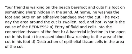 Your friend is walking on the beach barefoot and cuts his foot on something sharp hidden in the sand. At home, he washes the foot and puts on an adhesive bandage over the cut. The next day the area around the cut is swollen, red, and hot. What is the cause of the REDNESS? a) Entry of fluid and cells into the connective tissues of the foot b) A bacterial infection in the open cut in his foot c) Increased blood flow rushing to the area of the cut in his foot d) Destruction of epithelial tissue cells in the area of the cut