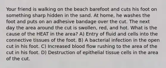 Your friend is walking on the beach barefoot and cuts his foot on something sharp hidden in the sand. At home, he washes the foot and puts on an adhesive bandage over the cut. The next day the area around the cut is swollen, red, and hot. What is the cause of the HEAT in the area? A) Entry of fluid and cells into the connective tissues of the foot. B) A bacterial infection in the open cut in his foot. C) Increased blood flow rushing to the area of the cut in his foot. D) Destruction of epithelial tissue cells in the area of the cut.