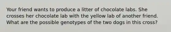 Your friend wants to produce a litter of chocolate labs. She crosses her chocolate lab with the yellow lab of another friend. What are the possible genotypes of the two dogs in this cross?