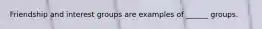 Friendship and interest groups are examples of ______ groups.
