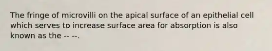 The fringe of microvilli on the apical surface of an epithelial cell which serves to increase surface area for absorption is also known as the -- --.