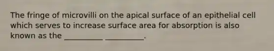 The fringe of microvilli on the apical surface of an epithelial cell which serves to increase surface area for absorption is also known as the __________ __________.