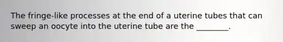 The fringe-like processes at the end of a uterine tubes that can sweep an oocyte into the uterine tube are the ________.