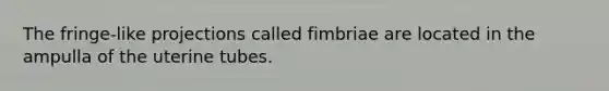 The fringe-like projections called fimbriae are located in the ampulla of the uterine tubes.