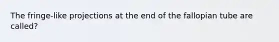 The fringe-like projections at the end of the fallopian tube are called?