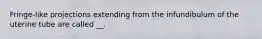 Fringe-like projections extending from the infundibulum of the uterine tube are called __.