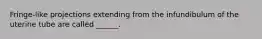 Fringe-like projections extending from the infundibulum of the uterine tube are called ______.