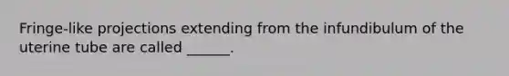 Fringe-like projections extending from the infundibulum of the uterine tube are called ______.