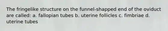 The fringelike structure on the funnel-shapped end of the oviduct are called: a. fallopian tubes b. uterine follicles c. fimbriae d. uterine tubes