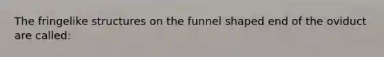 The fringelike structures on the funnel shaped end of the oviduct are called: