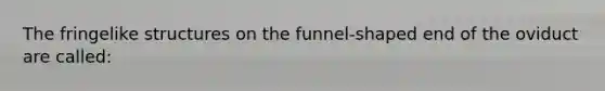 The fringelike structures on the funnel-shaped end of the oviduct are called: