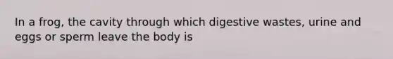 In a frog, the cavity through which digestive wastes, urine and eggs or sperm leave the body is