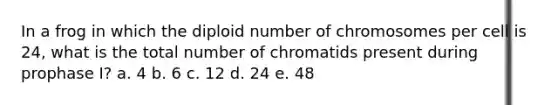 In a frog in which the diploid number of chromosomes per cell is 24, what is the total number of chromatids present during prophase I? a. 4 b. 6 c. 12 d. 24 e. 48