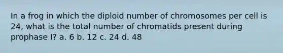 In a frog in which the diploid number of chromosomes per cell is 24, what is the total number of chromatids present during prophase I? a. 6 b. 12 c. 24 d. 48