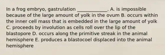 In a frog embryo, gastrulation _____________. A. is impossible because of the large amount of yolk in the ovum B. occurs within the inner cell mass that is embedded in the large amount of yolk C. proceeds by involution as cells roll over the lip of the blastopore D. occurs along the primitive streak in the animal hemisphere E. produces a blastocoel displaced into the animal hemisphere