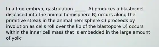 In a frog embryo, gastrulation _____. A) produces a blastocoel displaced into the animal hemisphere B) occurs along the primitive streak in the animal hemisphere C) proceeds by involution as cells roll over the lip of the blastopore D) occurs within the inner cell mass that is embedded in the large amount of yolk