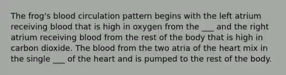 The frog's blood circulation pattern begins with the left atrium receiving blood that is high in oxygen from the ___ and the right atrium receiving blood from the rest of the body that is high in carbon dioxide. The blood from the two atria of the heart mix in the single ___ of the heart and is pumped to the rest of the body.