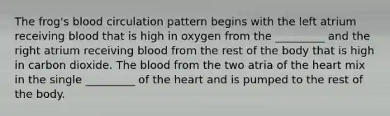 The frog's blood circulation pattern begins with the left atrium receiving blood that is high in oxygen from the _________ and the right atrium receiving blood from the rest of the body that is high in carbon dioxide. The blood from the two atria of the heart mix in the single _________ of the heart and is pumped to the rest of the body.